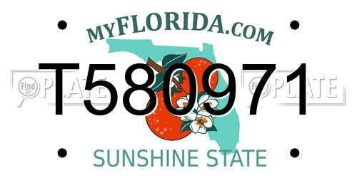 T580971 Florida License Plate