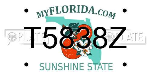 T5838Z Florida License Plate