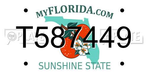 T587449 Florida License Plate