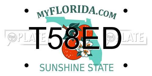T58ED Florida License Plate