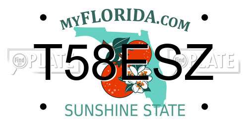 T58ESZ Florida License Plate