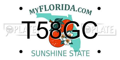 T58GC Florida License Plate