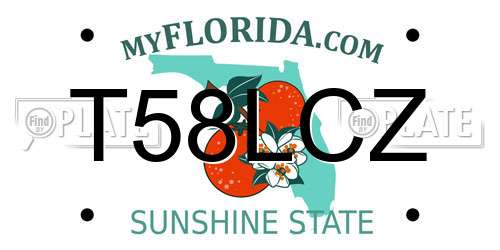 T58LCZ Florida License Plate