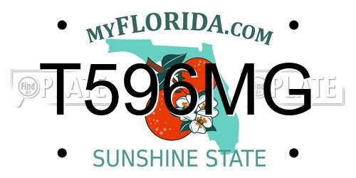 T596MG Florida License Plate