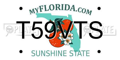 T59VTS Florida License Plate
