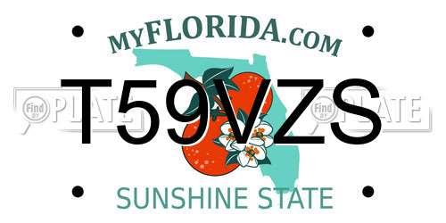 T59VZS Florida License Plate