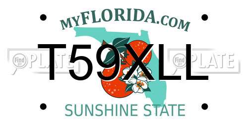 T59XLL Florida License Plate
