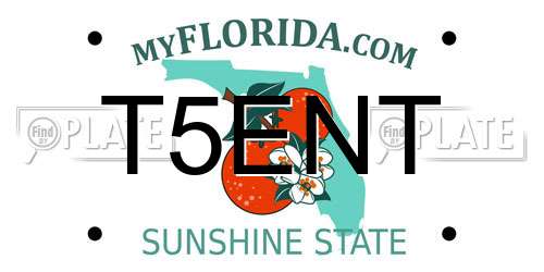T5ENT Florida License Plate