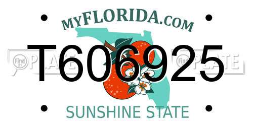 T606925 Florida License Plate