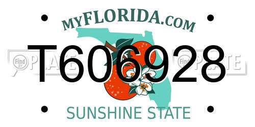 T606928 Florida License Plate