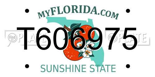 T606975 Florida License Plate