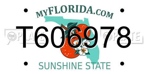 T606978 Florida License Plate