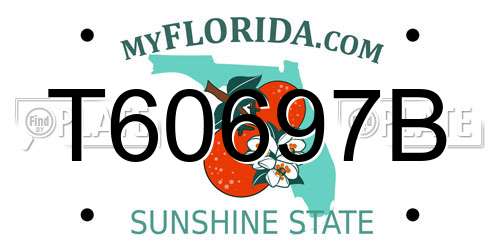 T60697B Florida License Plate