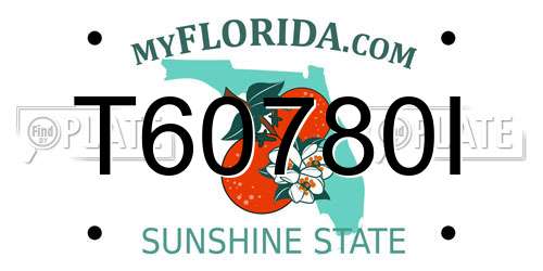 T60780I Florida License Plate