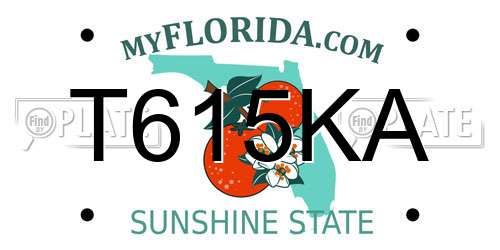 T615KA Florida License Plate