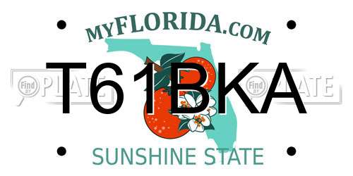 T61BKA Florida License Plate
