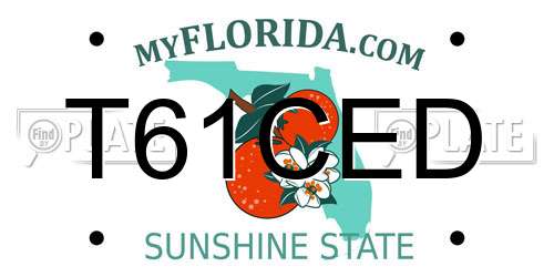 T61CED Florida License Plate