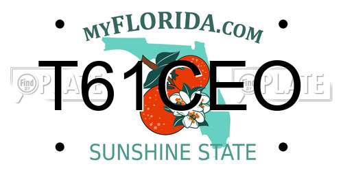 T61CEO Florida License Plate