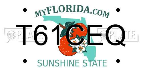 T61CEQ Florida License Plate