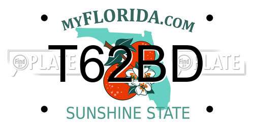 T62BD Florida License Plate