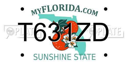 T631ZD Florida License Plate