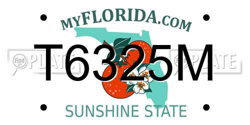 T6325M Florida License Plate
