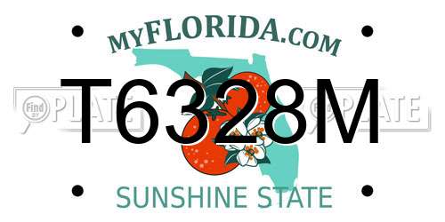 T6328M Florida License Plate