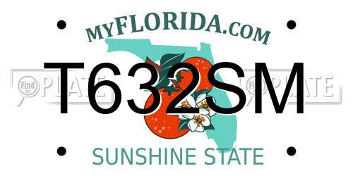 T632SM Florida License Plate