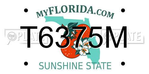 T6375M Florida License Plate
