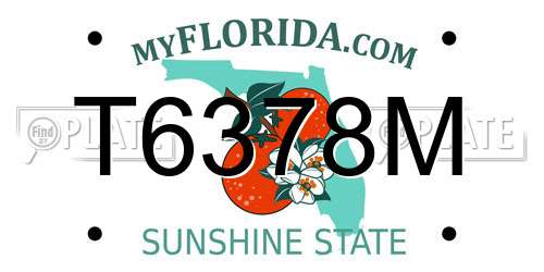 T6378M Florida License Plate
