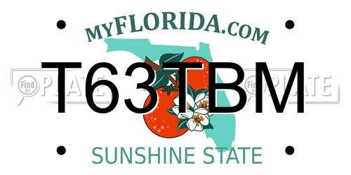 T63TBM Florida License Plate