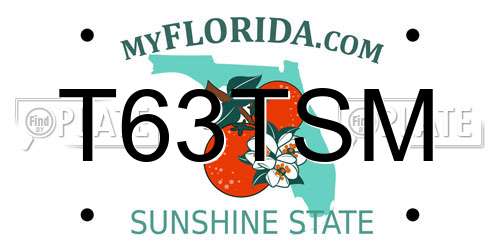 T63TSM Florida License Plate