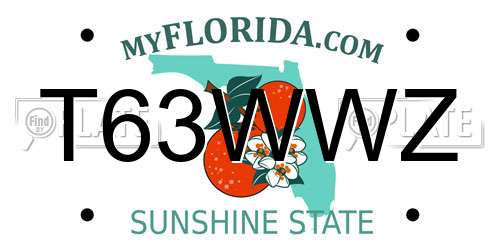 T63WWZ Florida License Plate
