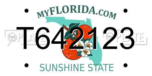 T642123 Florida License Plate