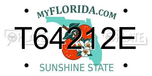 T64212E Florida License Plate