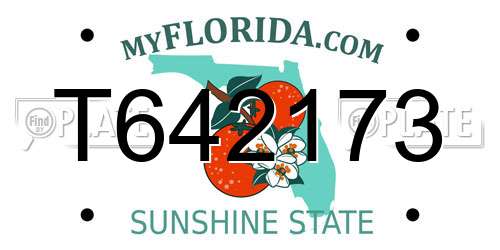 T642173 Florida License Plate