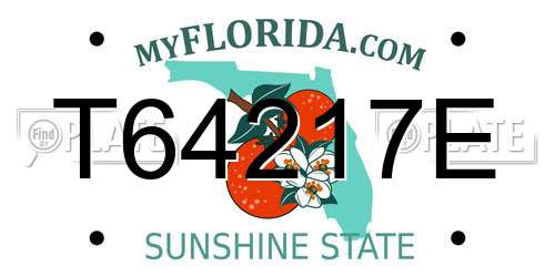 T64217E Florida License Plate