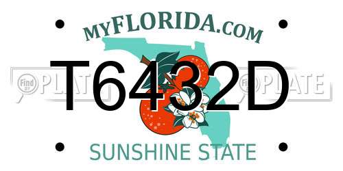 T6432D Florida License Plate