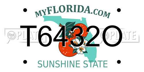 T6432O Florida License Plate