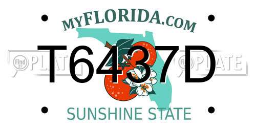 T6437D Florida License Plate