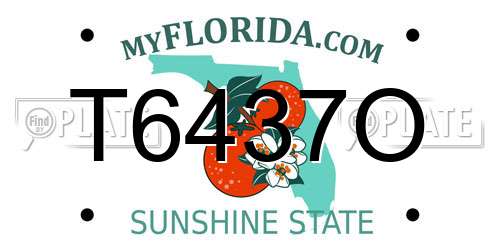 T6437O Florida License Plate