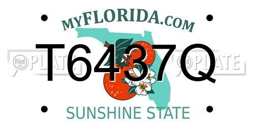 T6437Q Florida License Plate