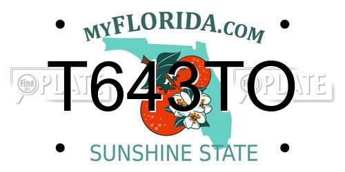 T643TO Florida License Plate