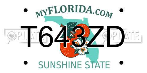 T643ZD Florida License Plate