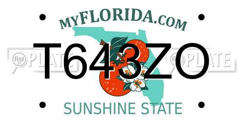 T643ZO Florida License Plate