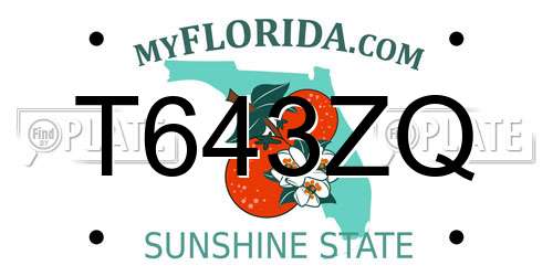 T643ZQ Florida License Plate