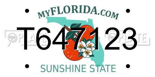 T647123 Florida License Plate
