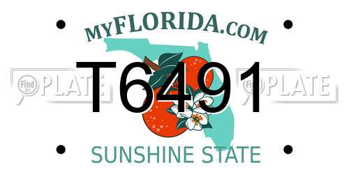 T6491 Florida License Plate