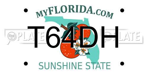 T64DH Florida License Plate