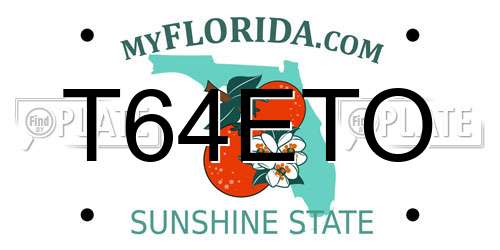 T64ETO Florida License Plate